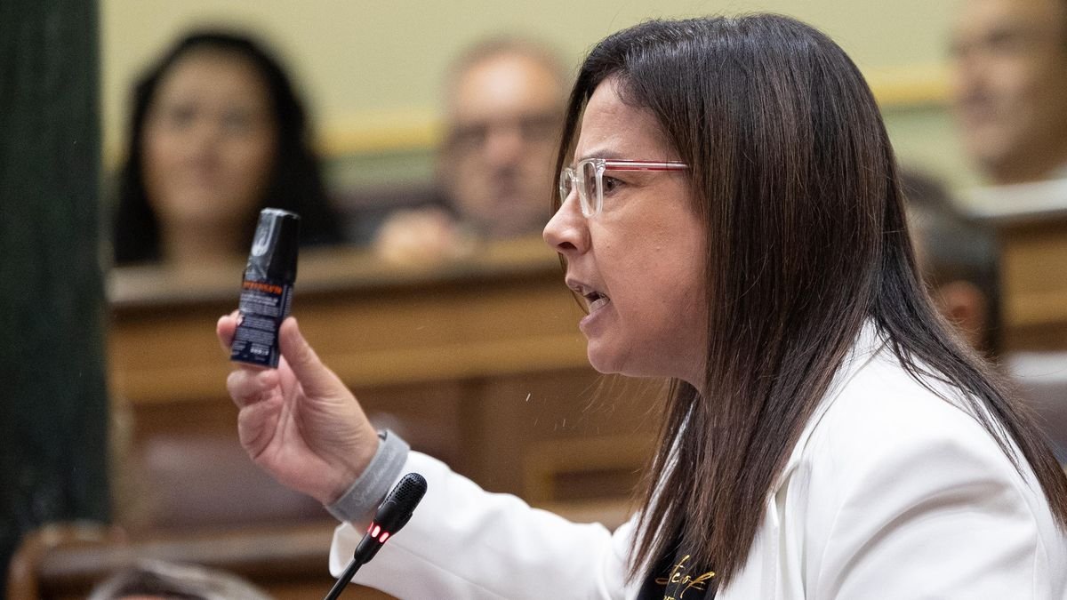 Ana Vázquez en pleno Congreso de los Diputados